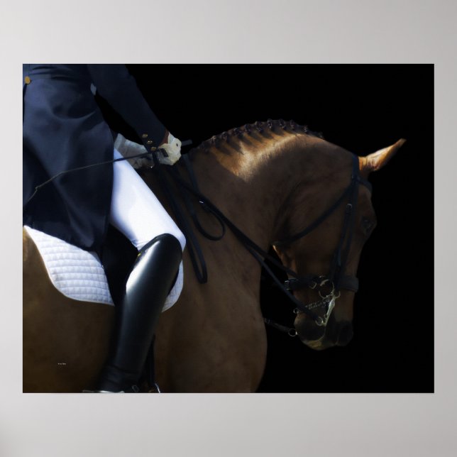 Byggt till Sista 2 Poster (Framsidan)