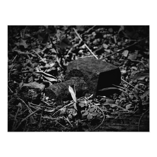 "Bygondagar i kvarlevor" Fototryck (Framsidan)