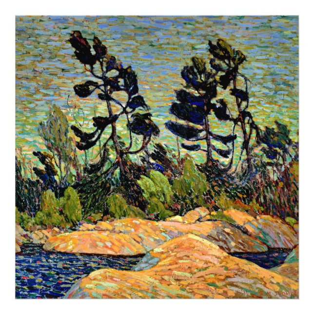 Bying Inlet, Georgian Bay, Fototryck (Framsidan)