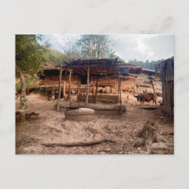 Byn Hut på landsbygden med djur, Laos Vykort