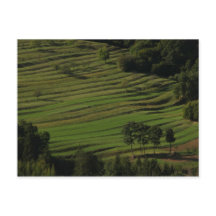 Byn Prem, Brkini Backe, Slovenien