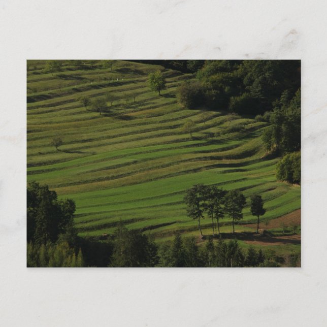 Byn Prem, Brkini Backe, Slovenien Vykort (Framsida)