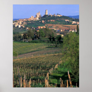 Byn San Gimignano är belägen i rullningen Poster