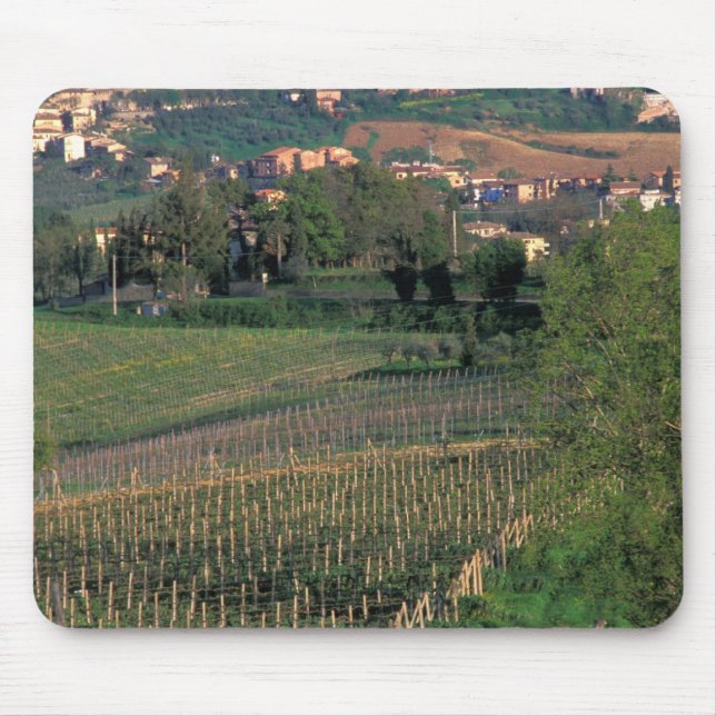 Byn San Gimignano ligger i de böljande Musmatta (Framsidan)