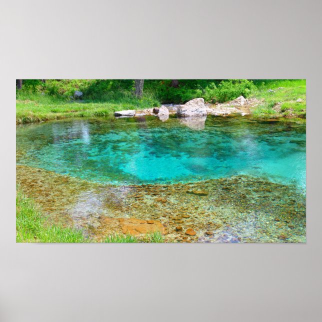 Byrds Mill Vår - Färg mättad Poster (Framsidan)