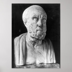 Byst av Hippocrates Poster