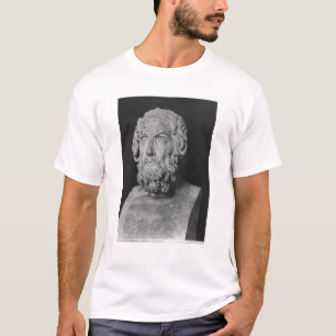 Byst av Homer, Hellenistic period Tröja