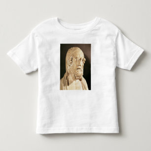 Byst av Homer, Hellenistic period Tröja