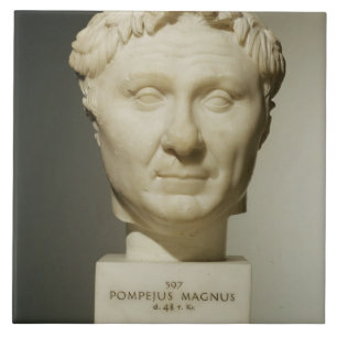 Byst av Pompey (106-48 BC) c.60 BC (marmor) Kakelplatta