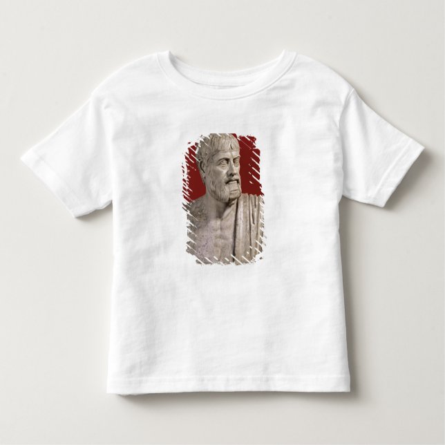 Byst som antas för att vara Flavius Claudius Tee Shirt (Framsida)