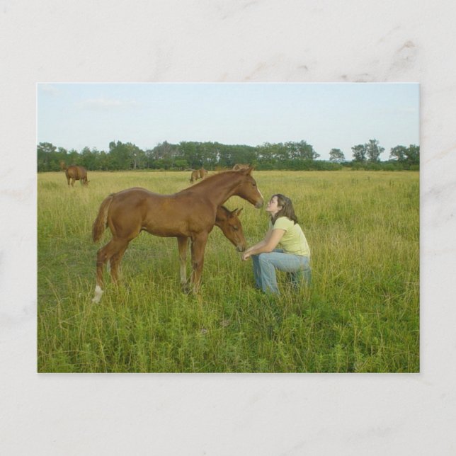 Byt ut spritkort vykort (Framsida)