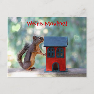 Byte av Adress Flytta Announcement Squirrel Meddelande Vykort