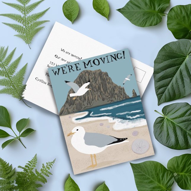 Byte av Flytta om Beach Fiskmåsar Adress Vykort (Skapare uppladdad)