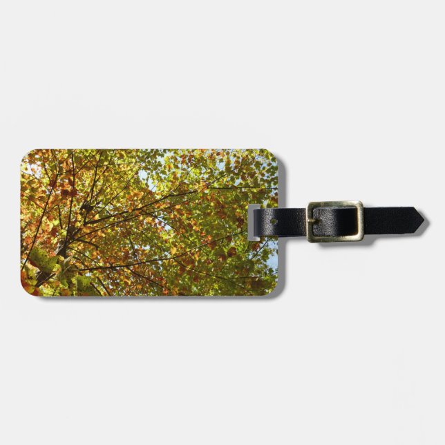 Byte av Maple Träd Grönt och Guld Fall Färg Bagagebricka (Horisontell Framsida)