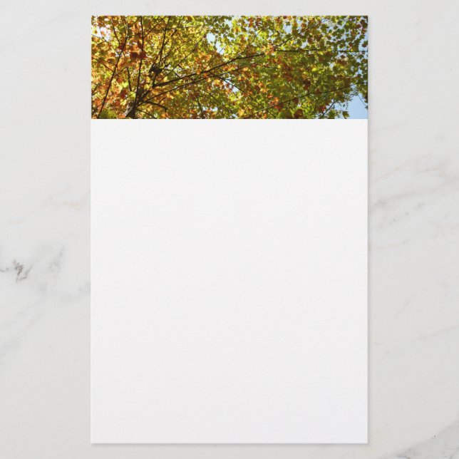 Byte av Maple Träd Grönt och Guld Fall Färg Brevpapper (Framsida)