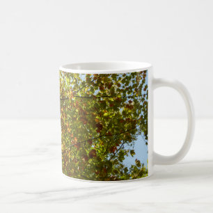 Byte av Maple Träd Grönt och Guld Fall Färg Kaffemugg