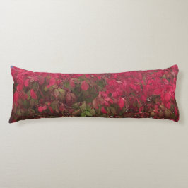 Byte av säten kroppskudde