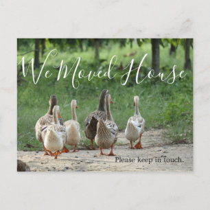 Byte av vykort för foto-Anpassningsbar för Adress 