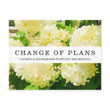 Byte av vykort för vit antarck Hydrangea