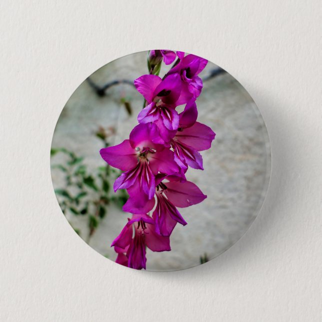 Byzantine Gladiolus Badge Knapp (Framsida)