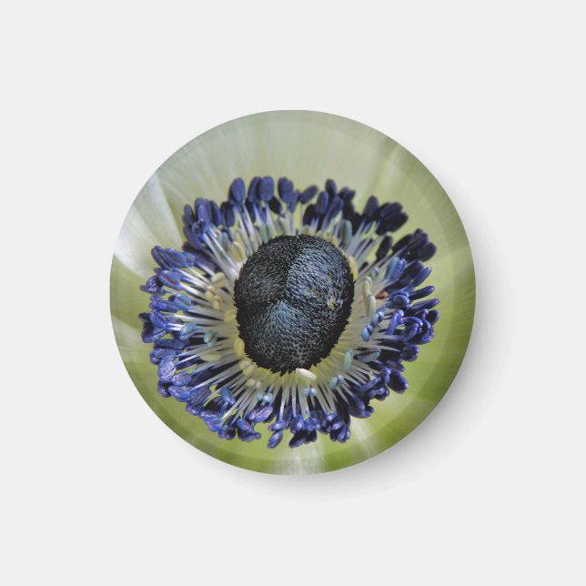 Byzantine Gladiolus Magnet (Framsidan)