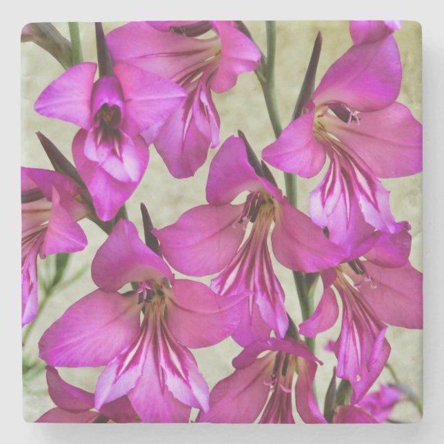 Byzantine Gladiolus Stenunderlägg (Framsidan)