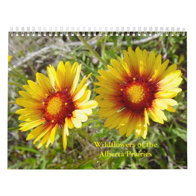 C12 Vilda blommor på prärien i Alberta Kalender (Omslag)