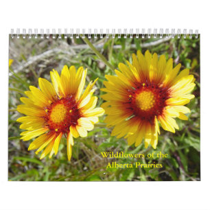 C12 Vilda blommor på prärien i Alberta Kalender