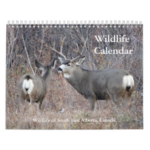 C13 Vilda djur-kalender Kalender