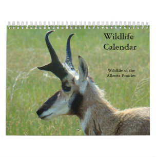 C14 Vilda djur-kalender Kalender