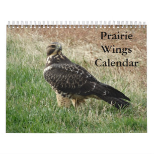 C7 Prärielandskap Kalender