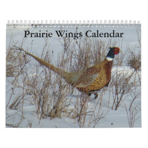 C8 Prärieland Vingar Kalender