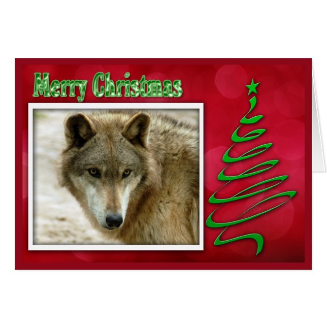 c-2011-grått-varg-048 hälsningskort (Framsidan Horizontal)