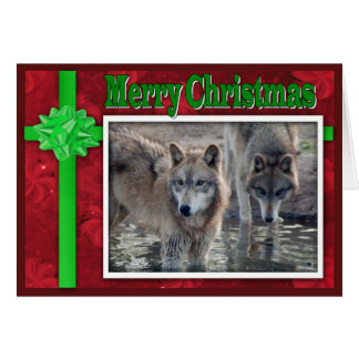 c-2011-grått-varg-053 hälsningskort