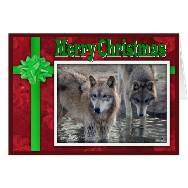 c-2011-grått-varg-053 hälsningskort (Framsidan Horizontal)