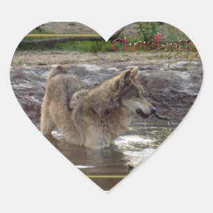 c-2011-grey-wolf-005 hjärtformat klistermärke