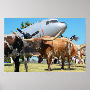C-47 Skytåg i Texas Poster