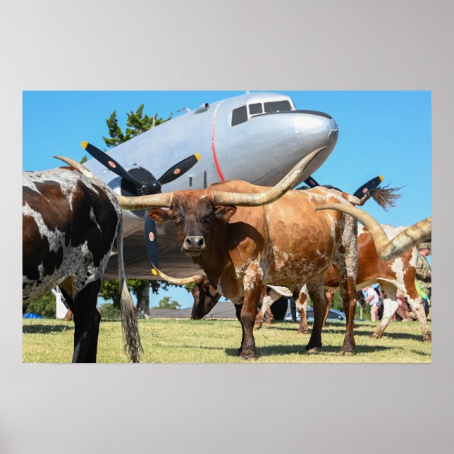 C-47 Skytåg i Texas Poster (Framsidan)