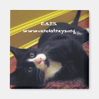 C.A.T.S. Magnet
