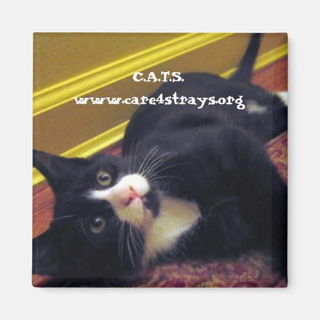 C.A.T.S. Magnet (Framsidan)