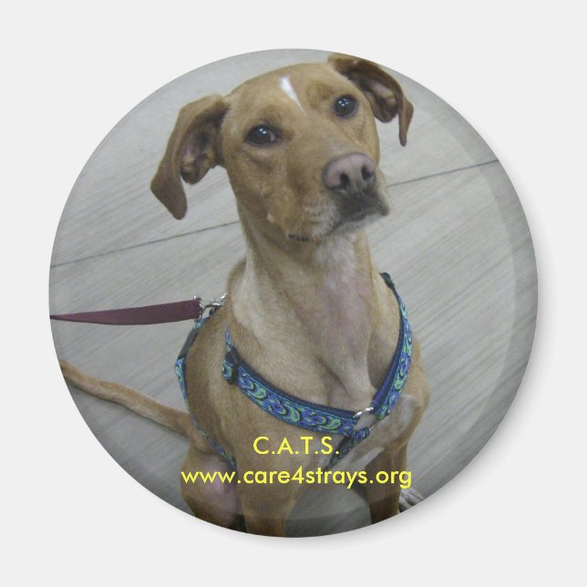 C.A.T.S. Magnet (Framsidan)