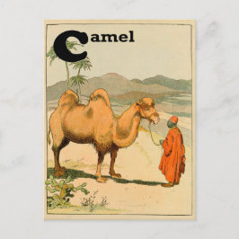 C är för Camel - Alphabet Animal Vykort