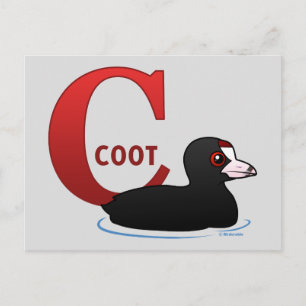 C är för Coot Vykort