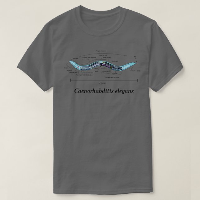 C Elegans Anatomical Diagram  T Shirt (Design framsida)