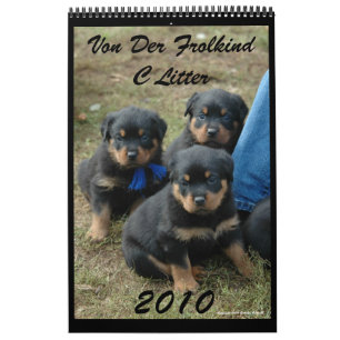 C-kullkalender 2010 kalender