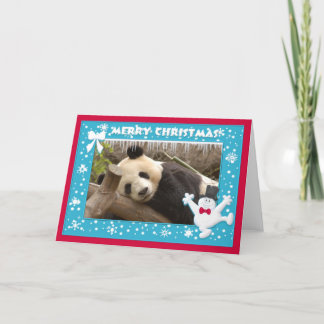 c-panda-278-b kort