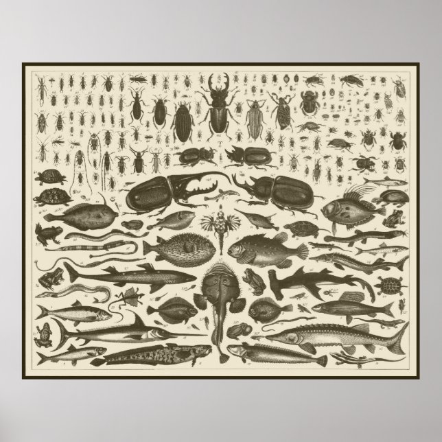 C R I T T T R S POSTER (Framsidan)