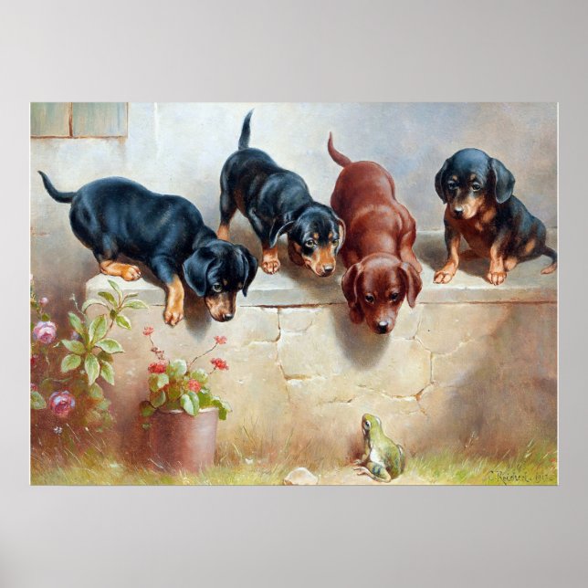 C. Reichert Painting Dachshund Puppies and Frog Poster (Framsidan)