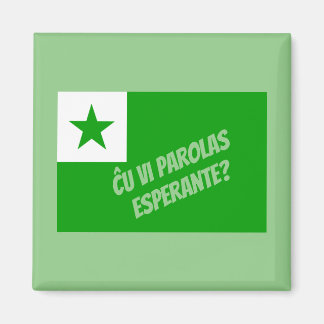 Ĉ vi parolas Esperante? Magnet