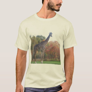 CA6RUTYJ TEE SHIRT